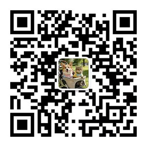 WeChat QR Code