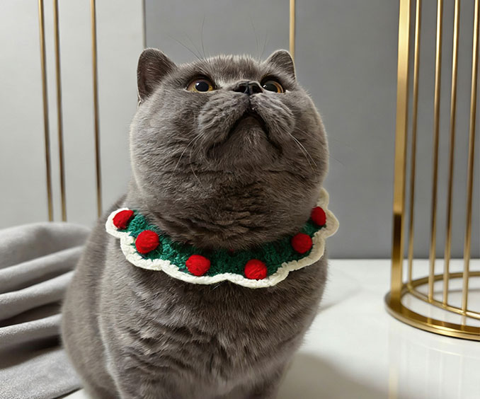 家居、园艺、礼品