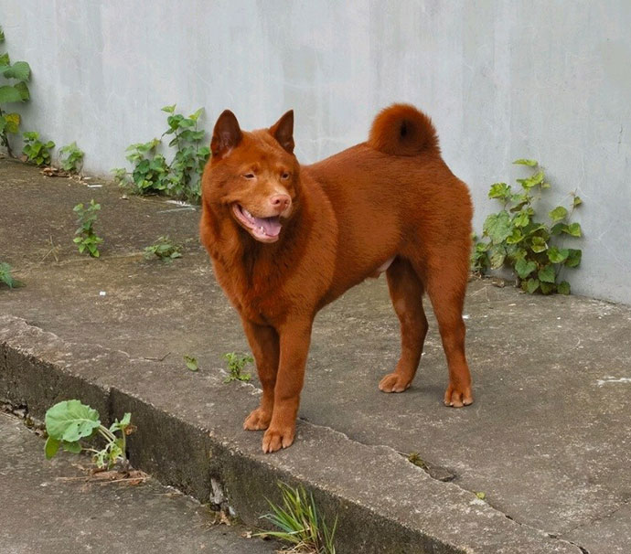 The second new product